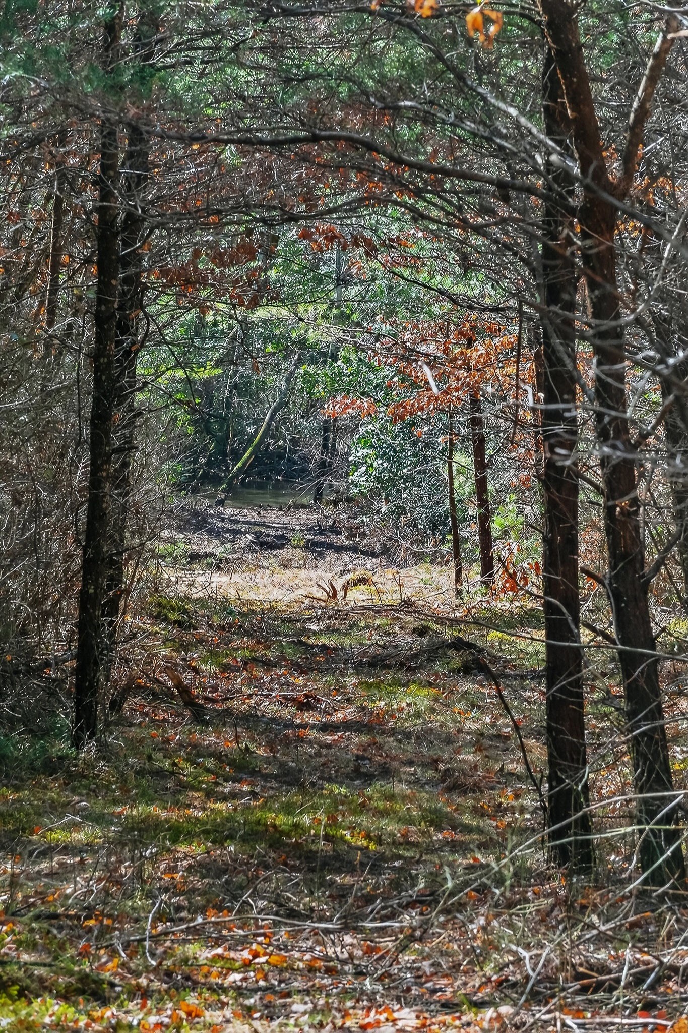 0 Rocky River Road Spencer TN 38585