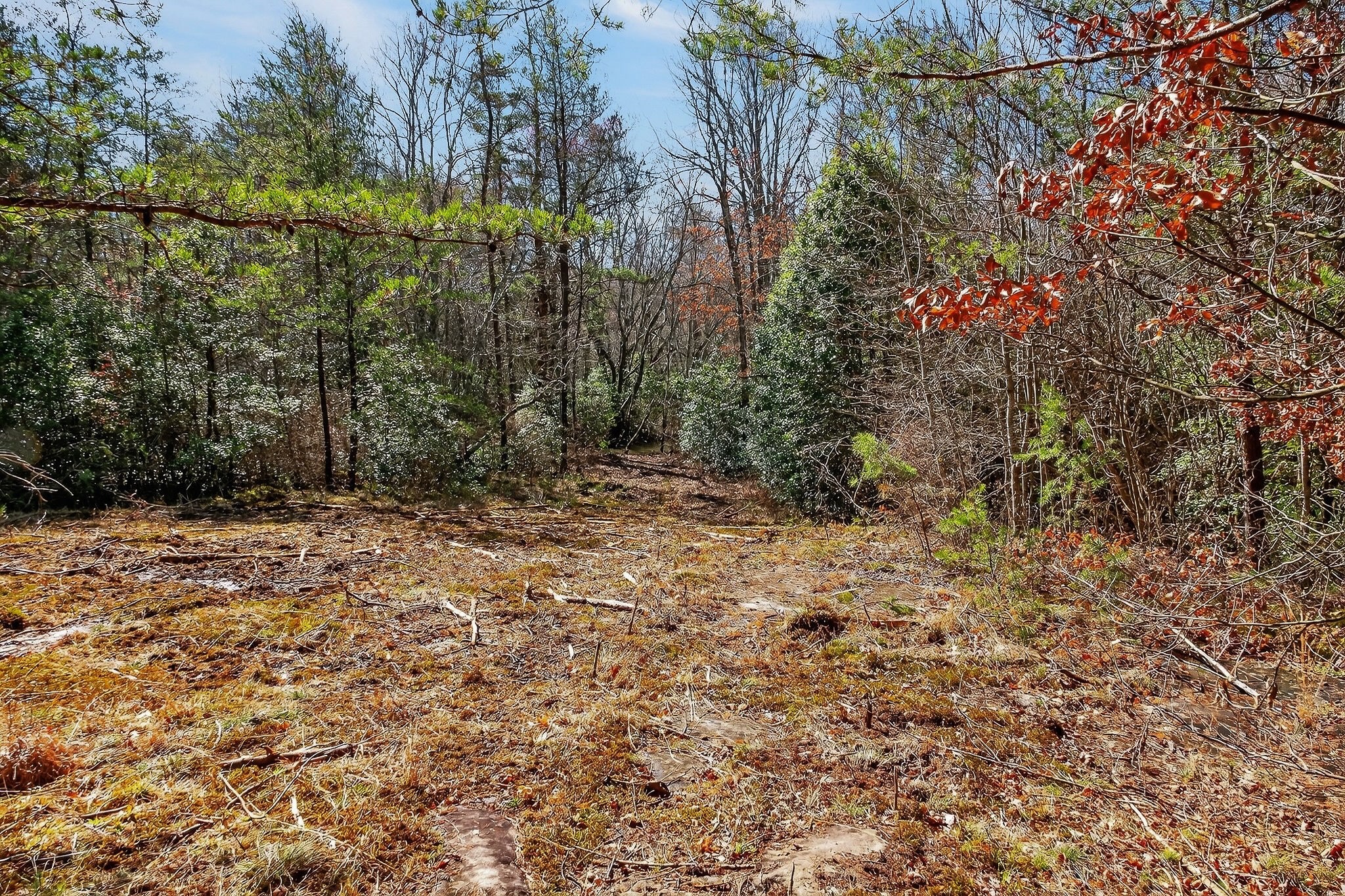 0 Rocky River Road Spencer TN 38585