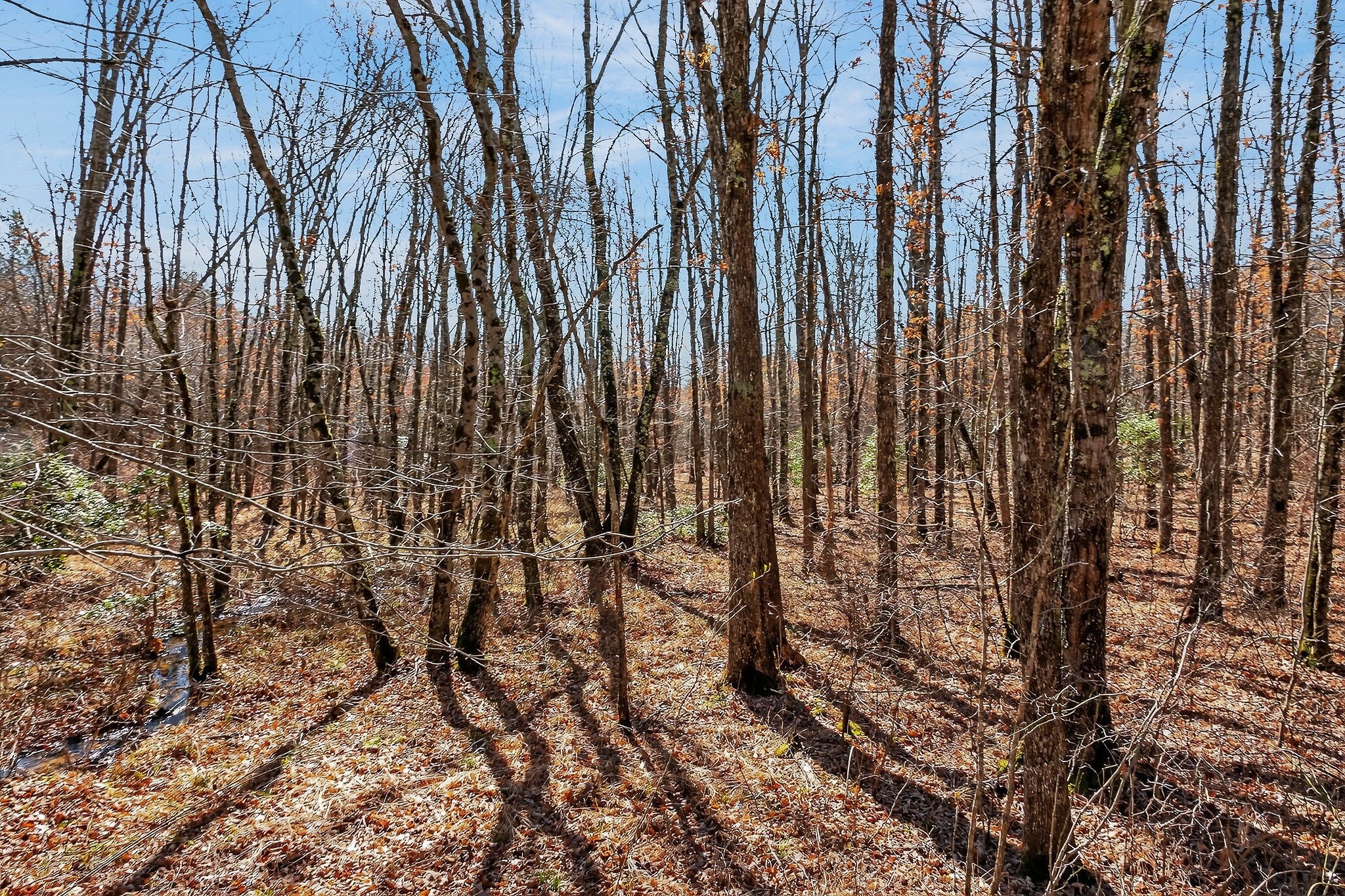 0 Rocky River Road Spencer TN 38585