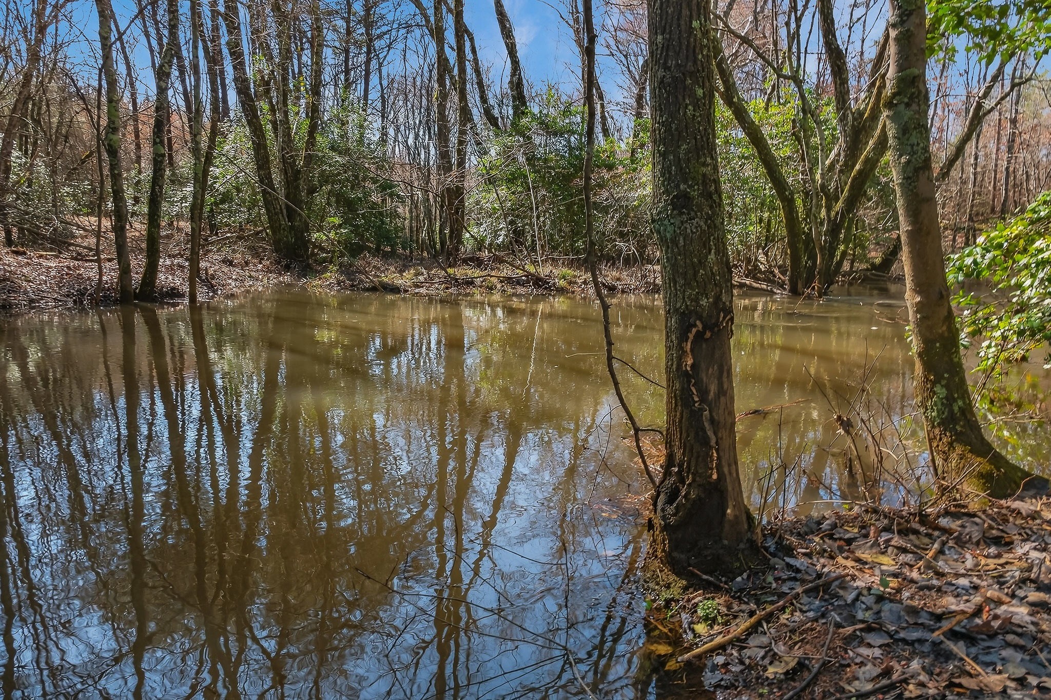 0 Rocky River Road Spencer TN 38585