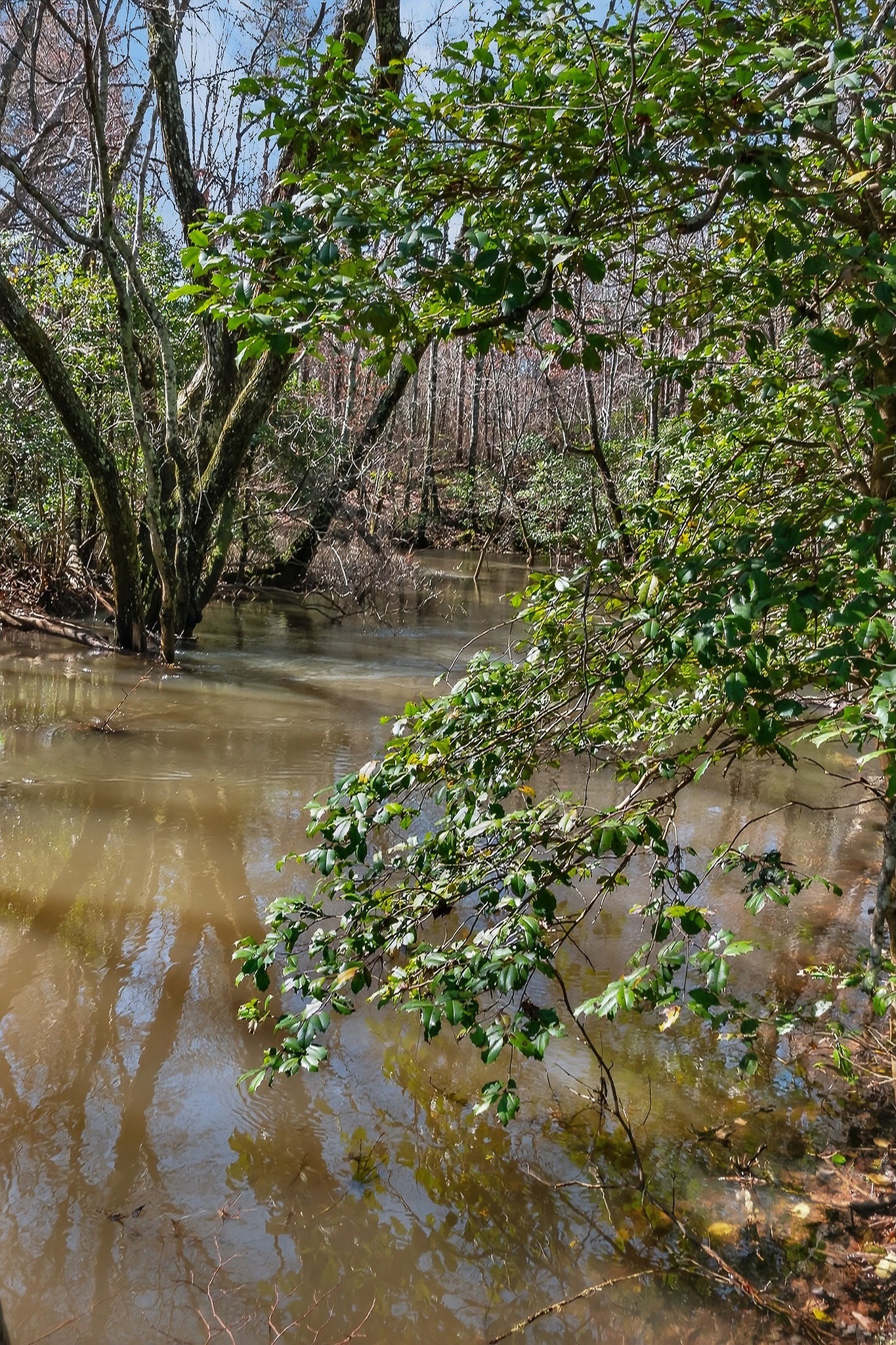 0 Rocky River Road Spencer TN 38585