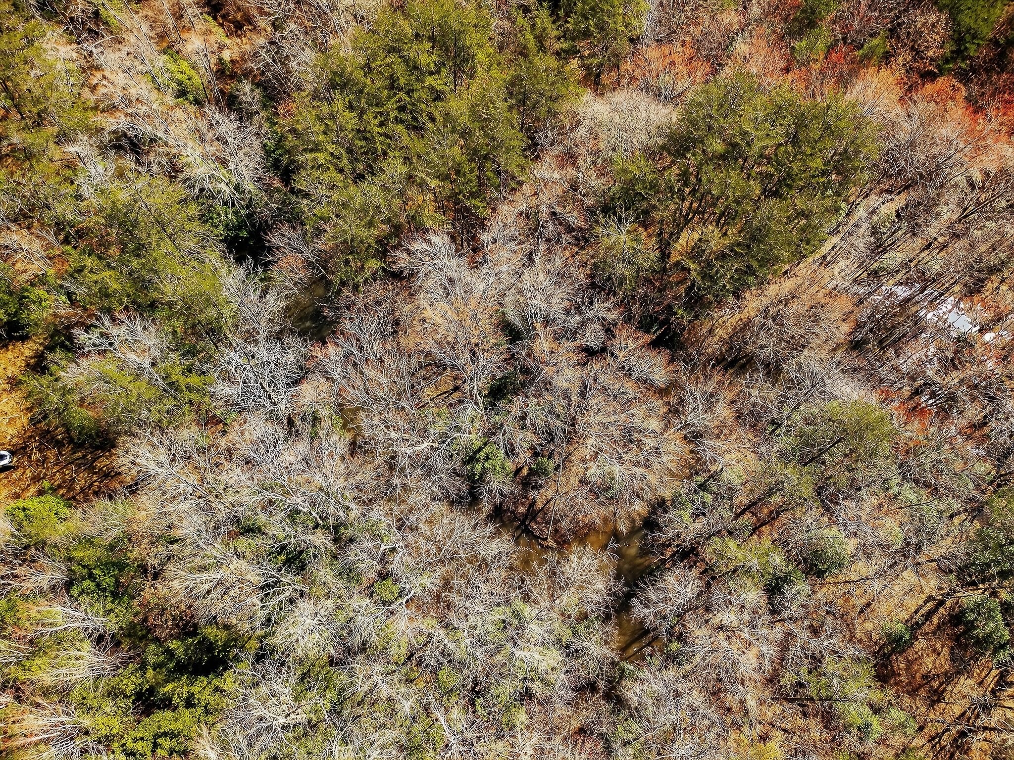 0 Rocky River Road Spencer TN 38585