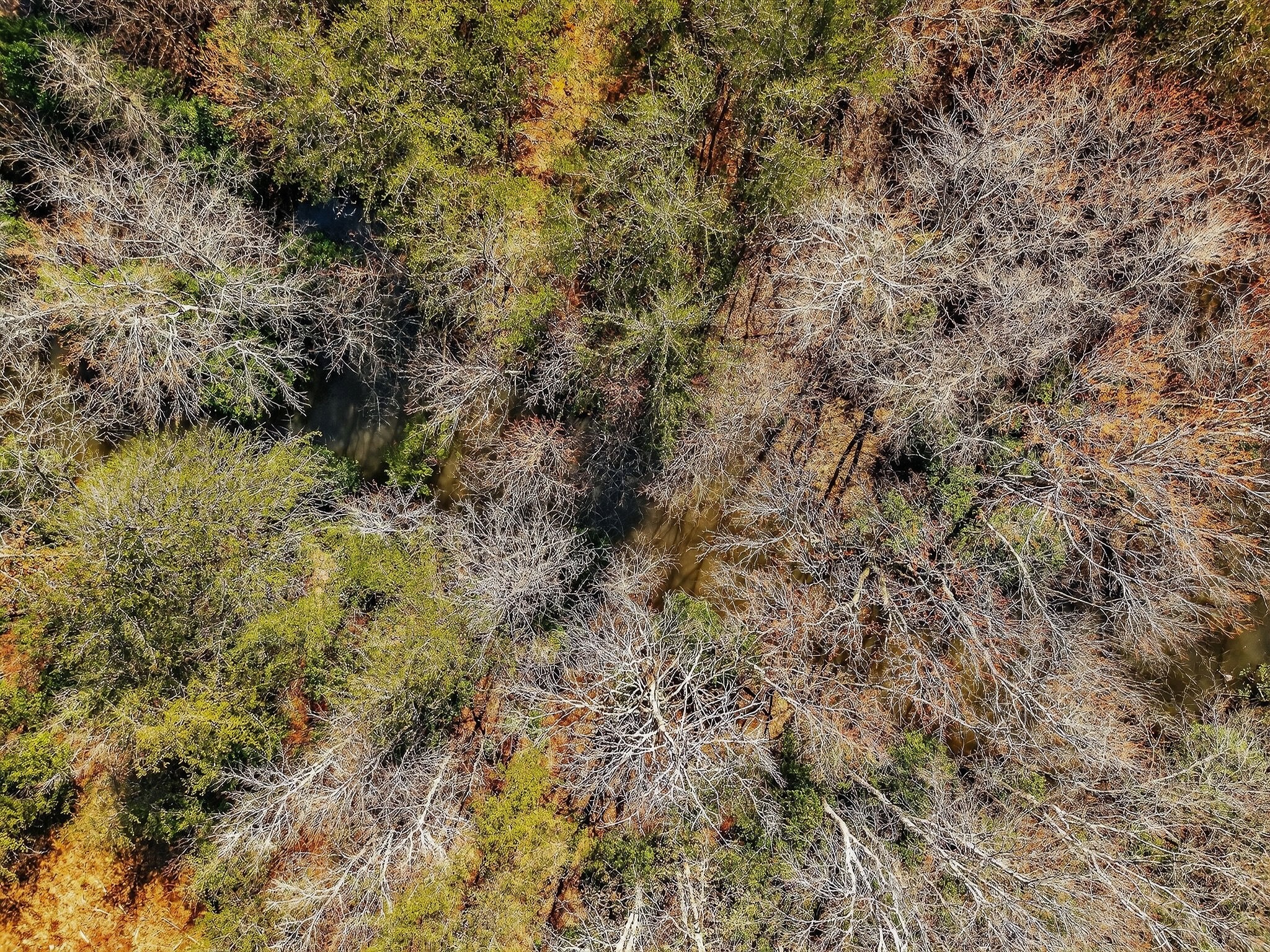 0 Rocky River Road Spencer TN 38585