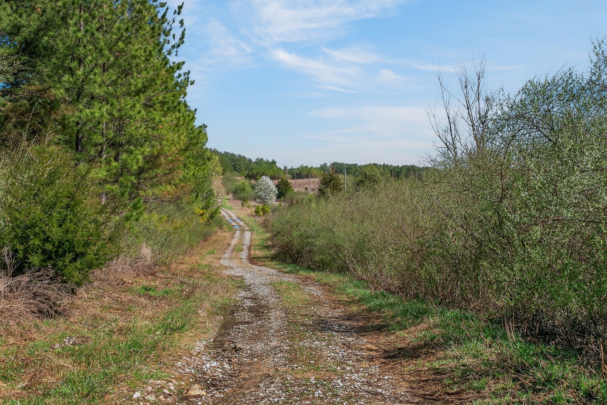 0 Rocky River Road Spencer TN 38585