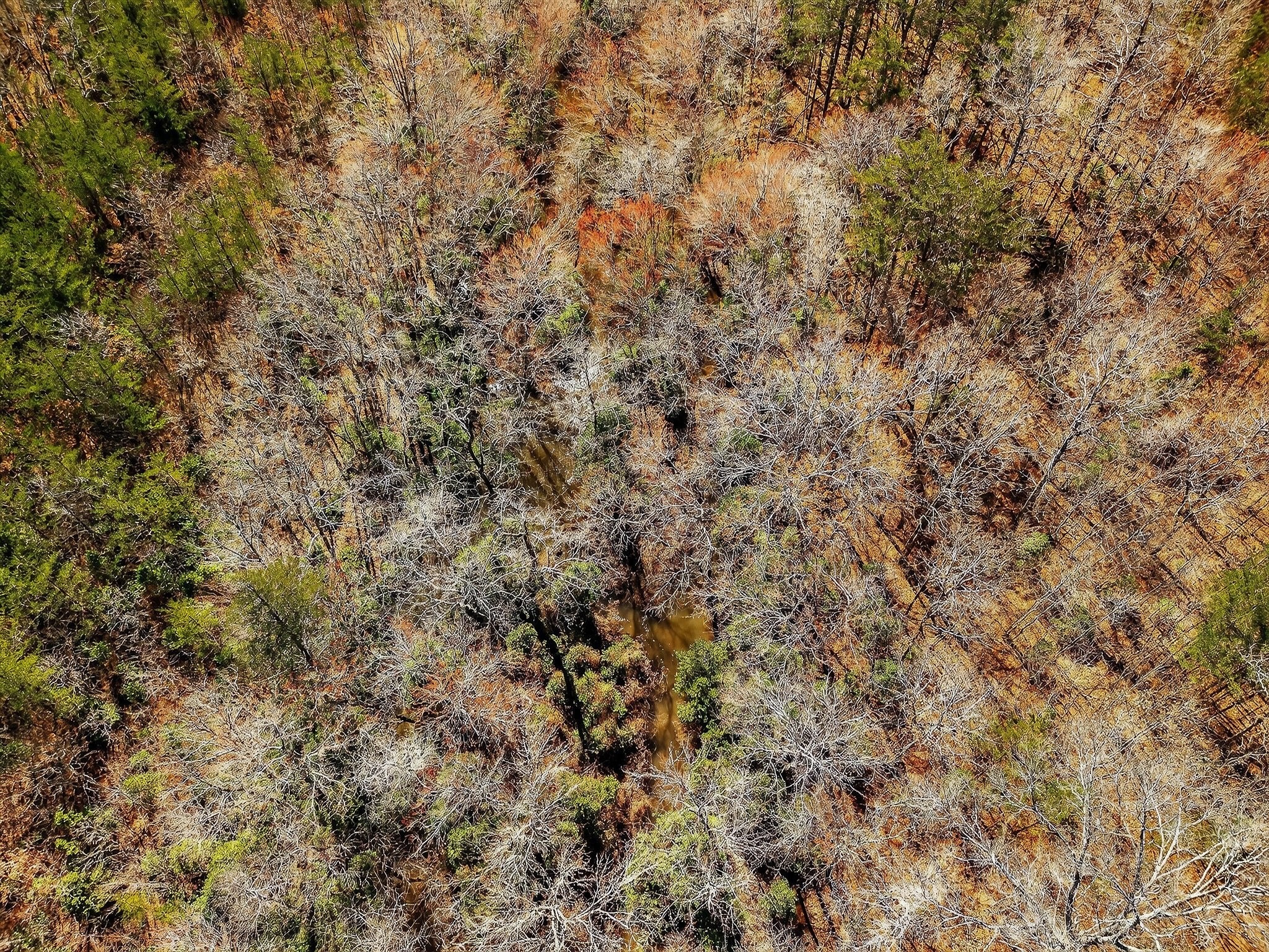 0 Rocky River Road Spencer TN 38585
