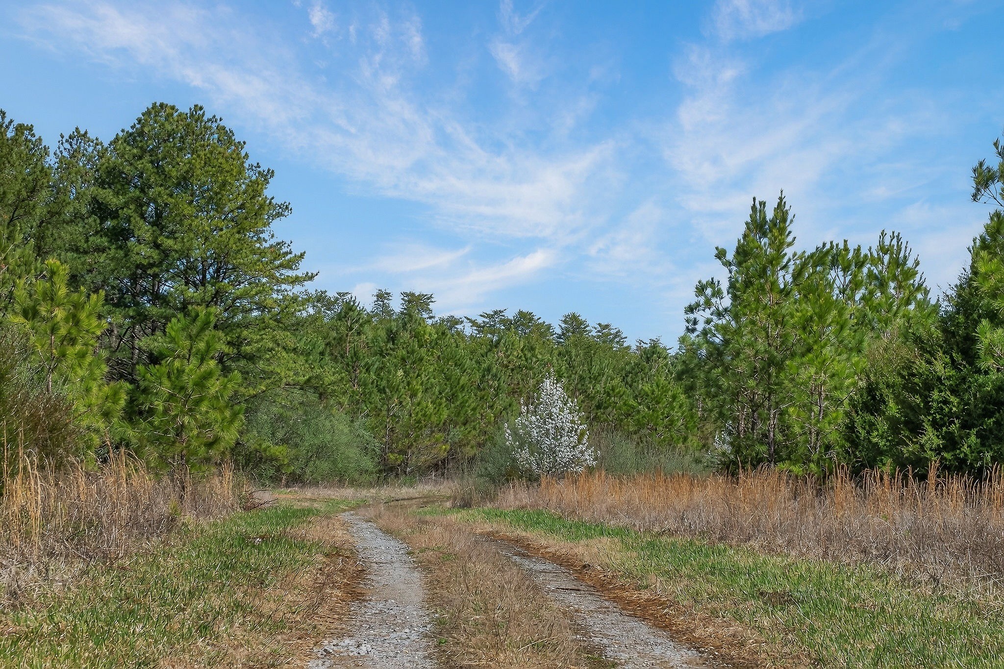 0 Rocky River Road Spencer TN 38585