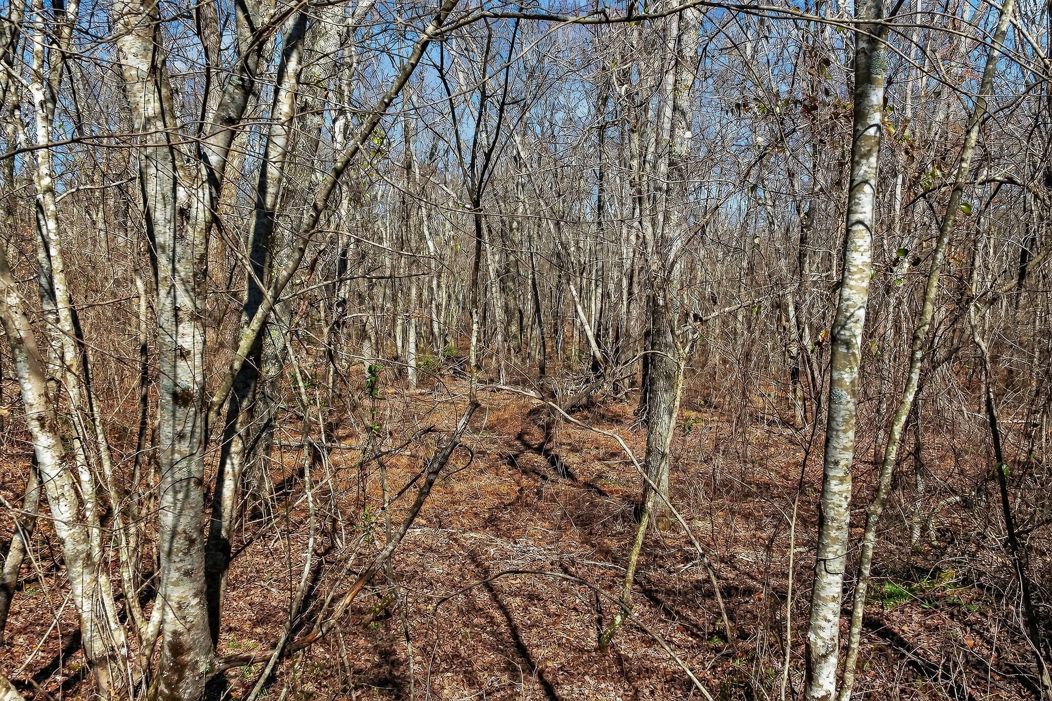0 Rocky River Road Spencer TN 38585