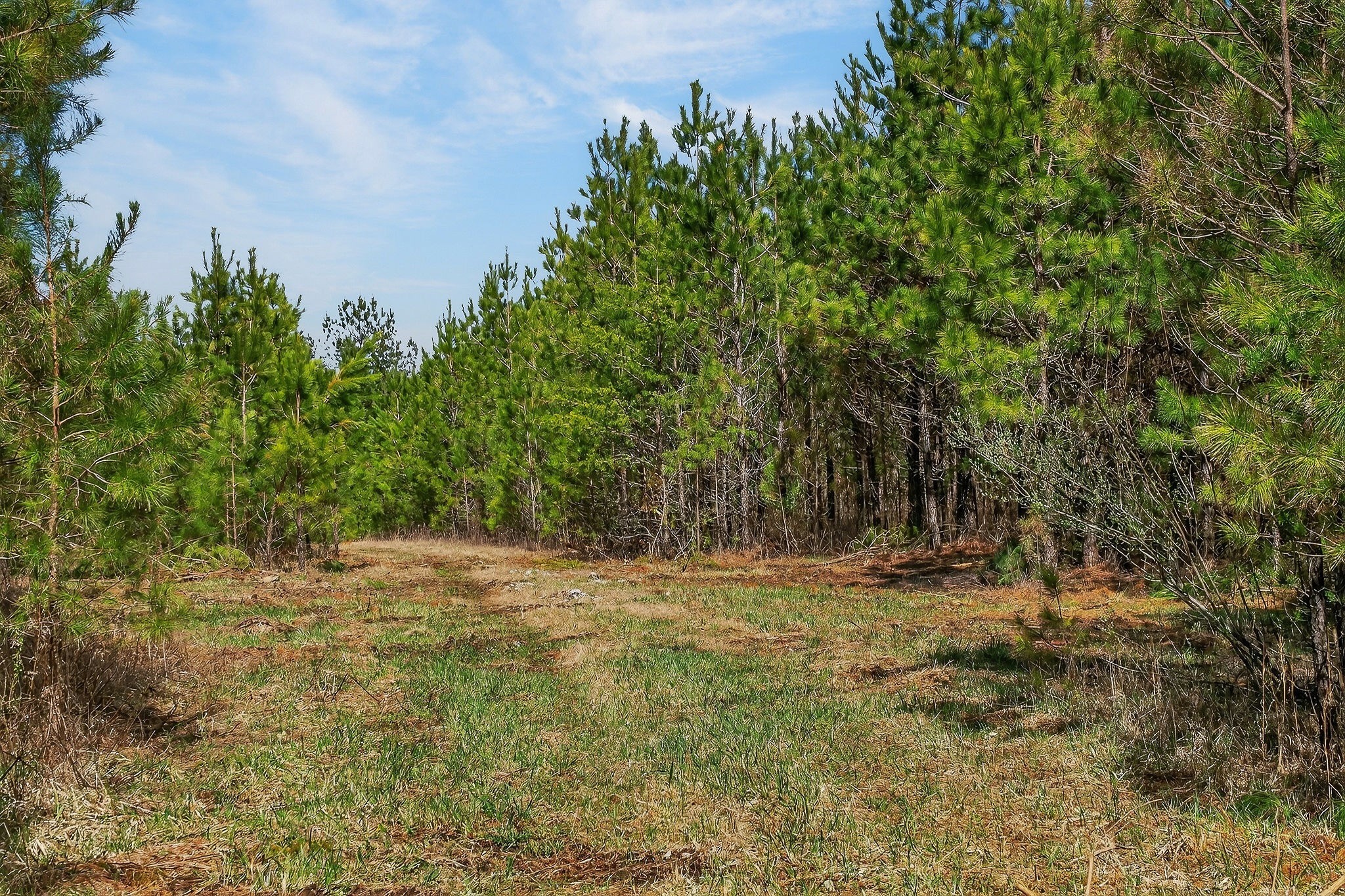 0 Rocky River Road Spencer TN 38585