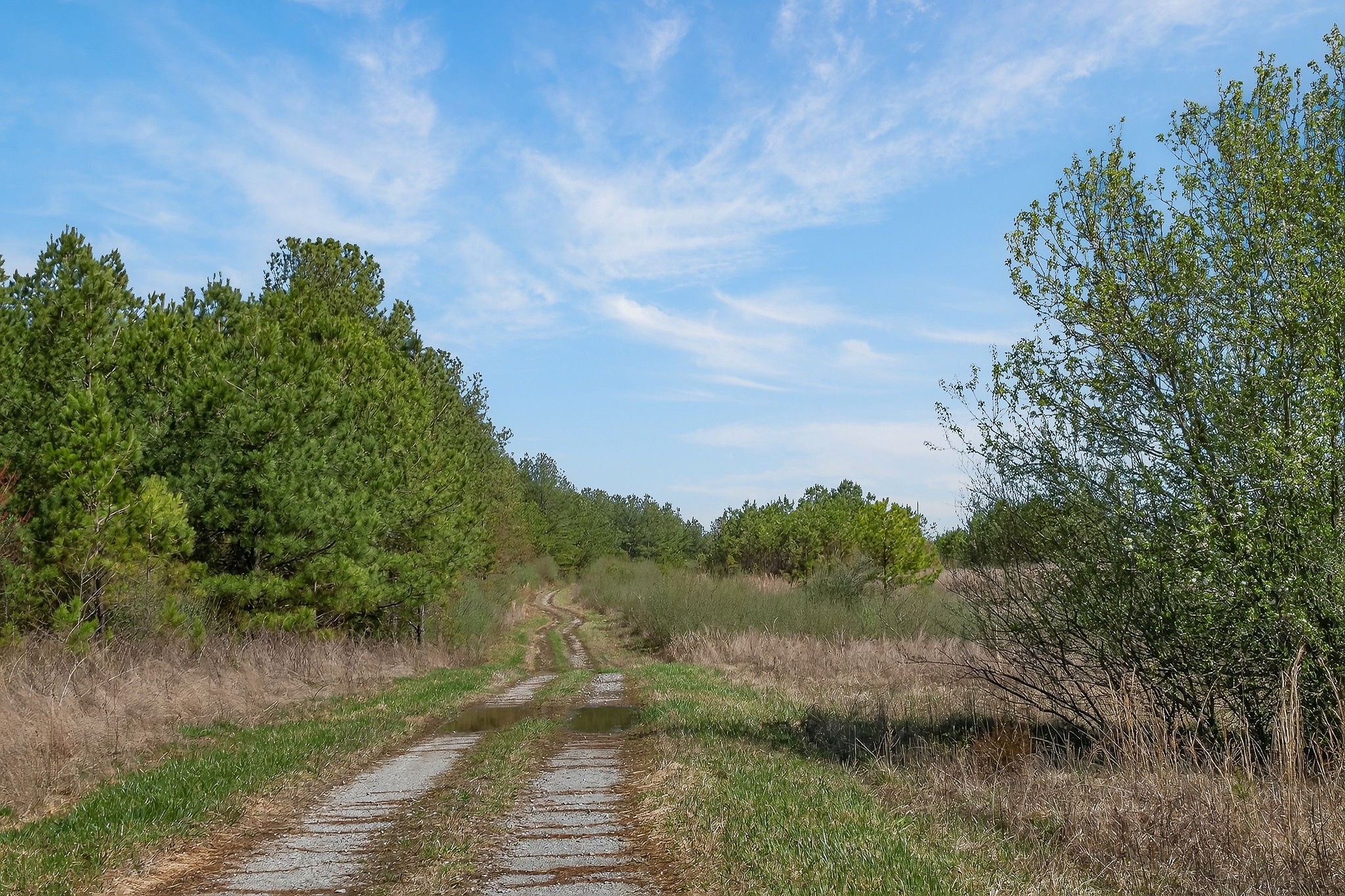 0 Rocky River Road Spencer TN 38585