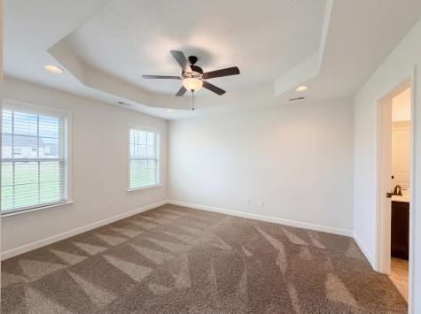 2919 Ronstadt Drive Christiana TN 37037