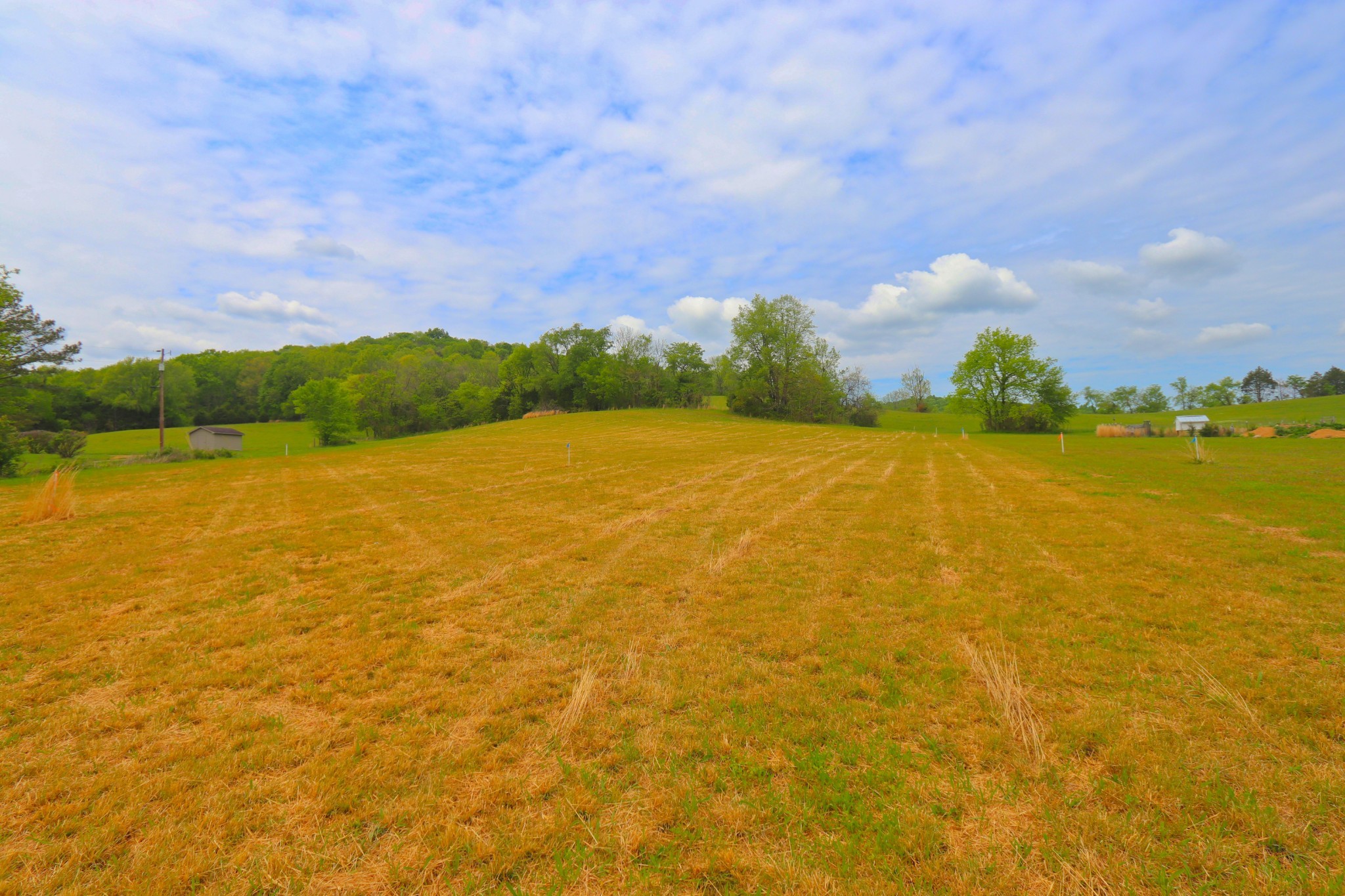 0 Greenvale Road Watertown TN 37184