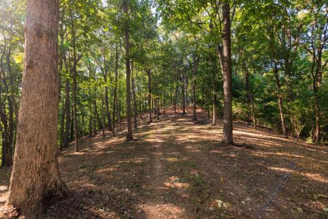 8336 Nunahi Trail Nashville TN 37221