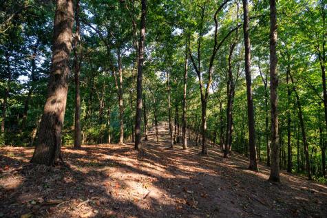 8336 Nunahi Trail Nashville TN 37221
