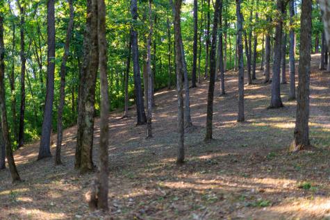 8336 Nunahi Trail Nashville TN 37221