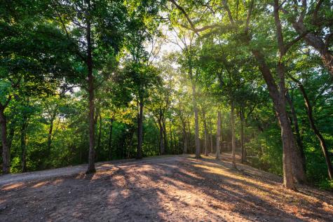 8336 Nunahi Trail Nashville TN 37221