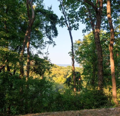 8336 Nunahi Trail Nashville TN 37221