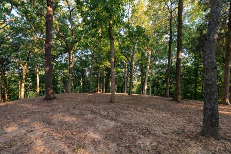 8336 Nunahi Trail Nashville TN 37221