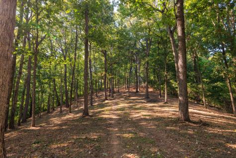 8336 Nunahi Trail Nashville TN 37221