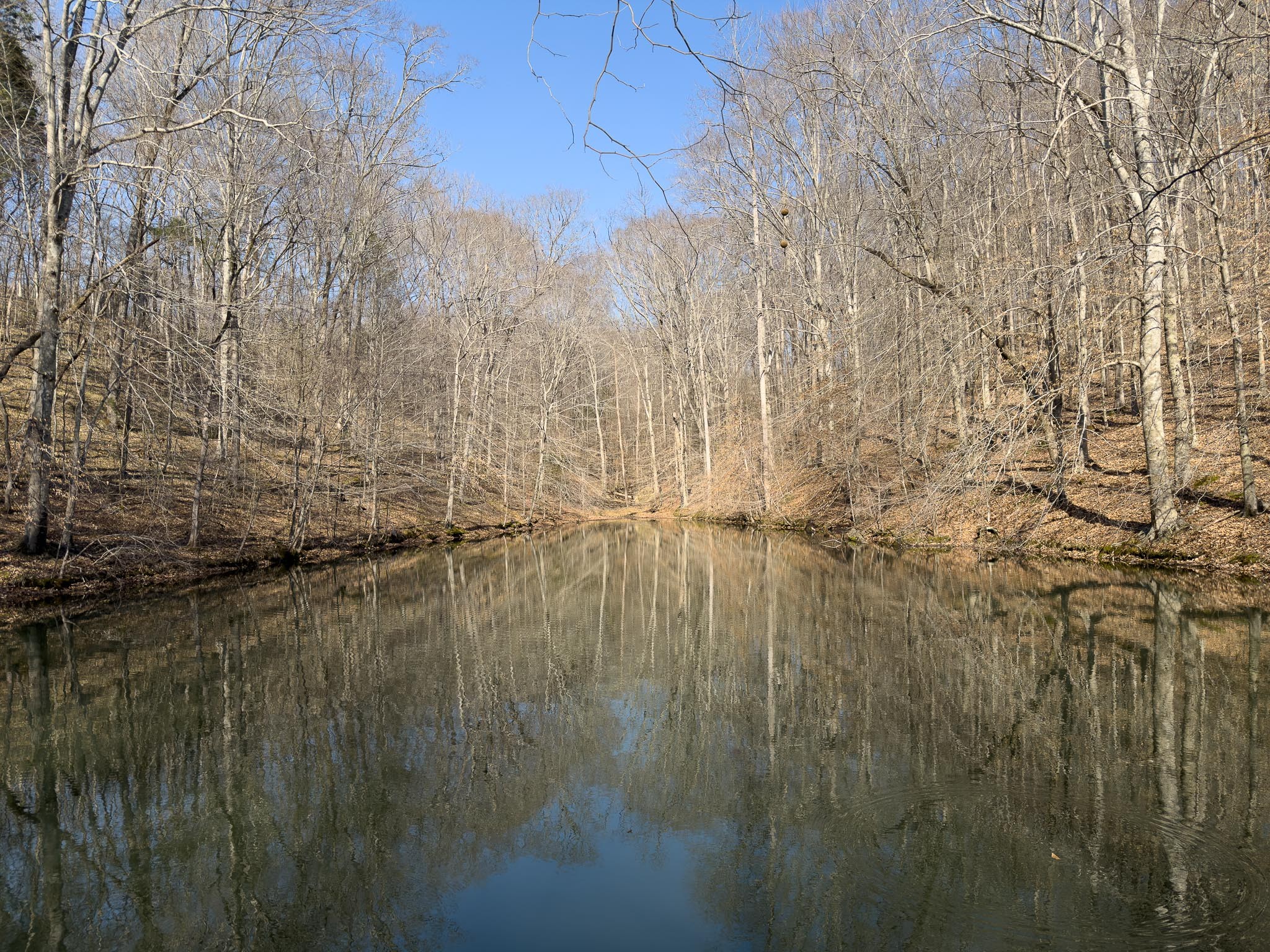 1070 Leatherwood Road White Bluff TN 37187