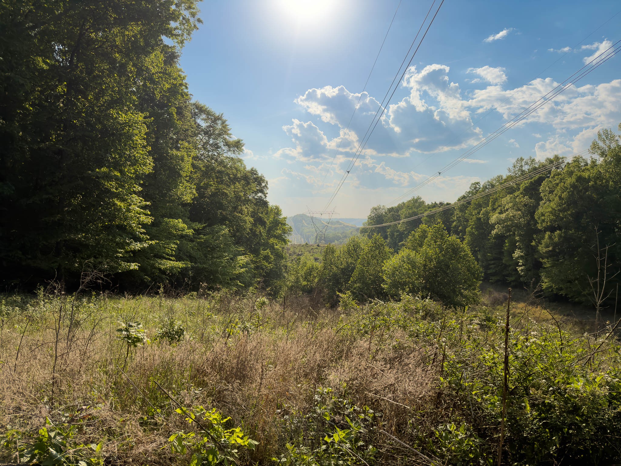 1070 Leatherwood Road White Bluff TN 37187