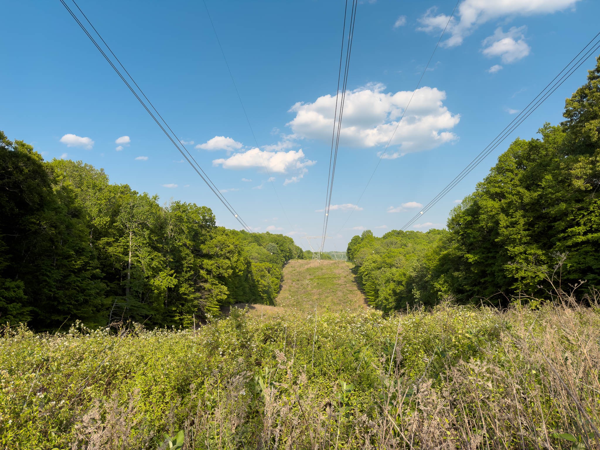 1070 Leatherwood Road White Bluff TN 37187