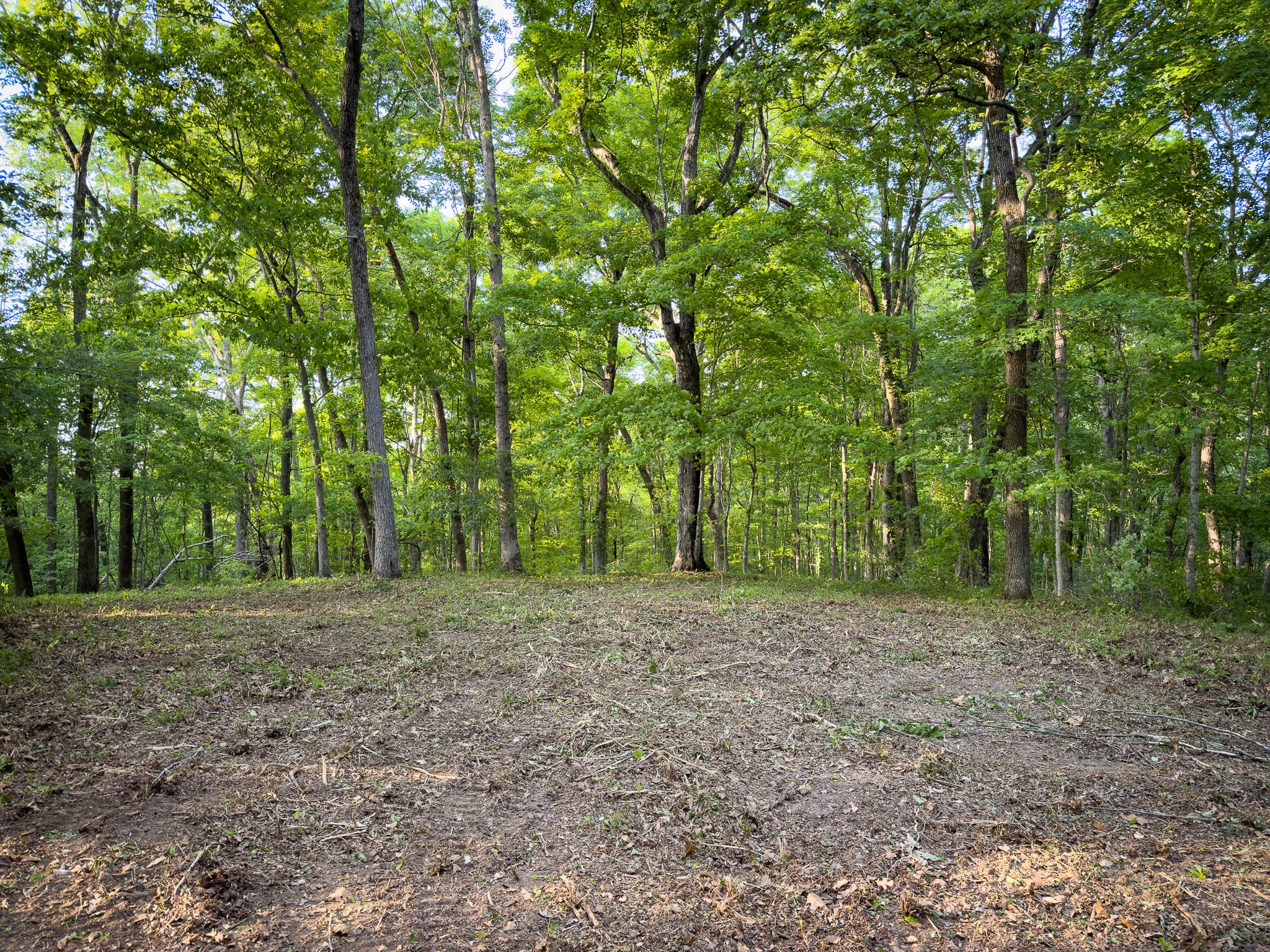 1070 Leatherwood Road White Bluff TN 37187
