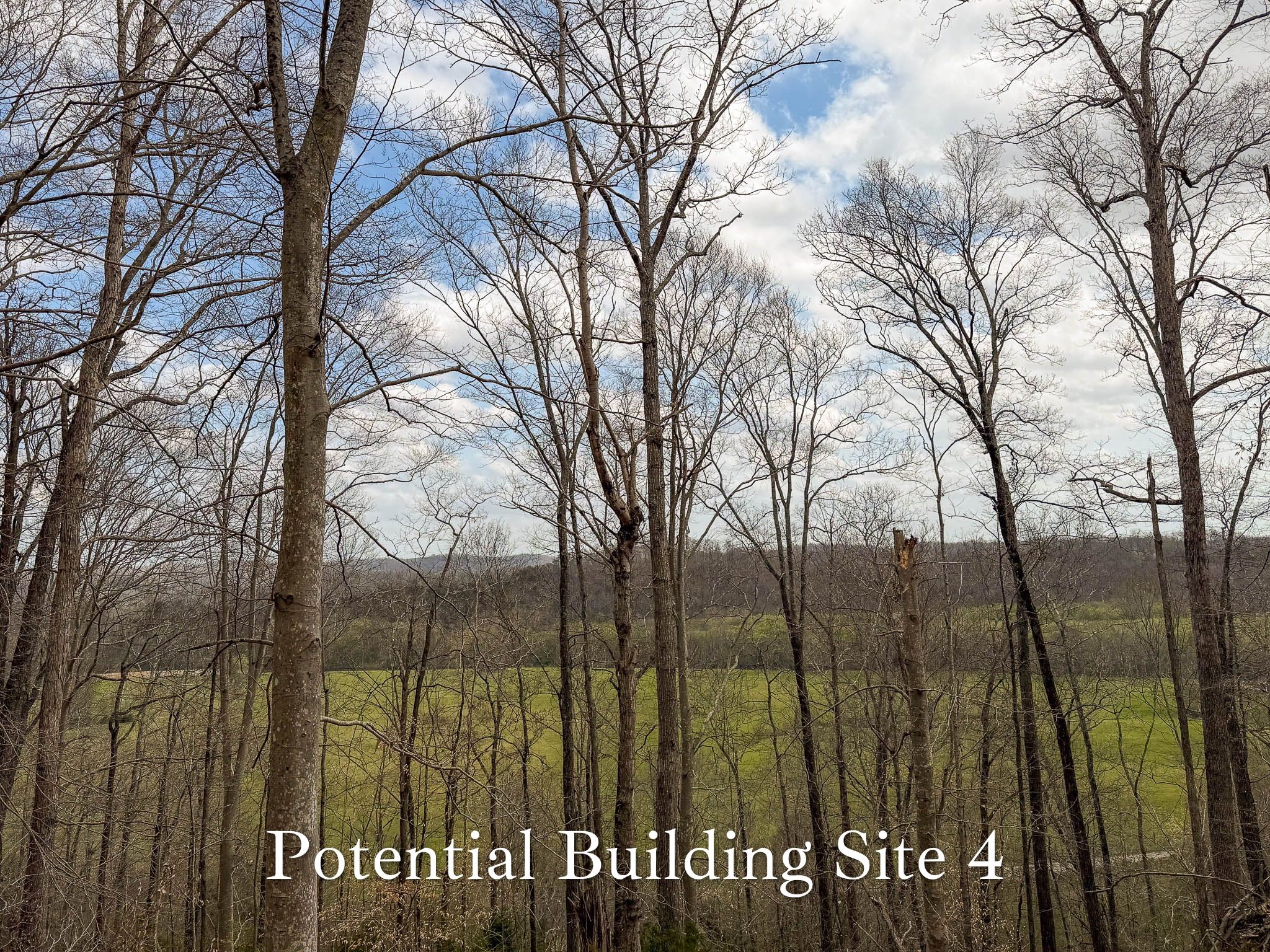 1070 Leatherwood Road White Bluff TN 37187
