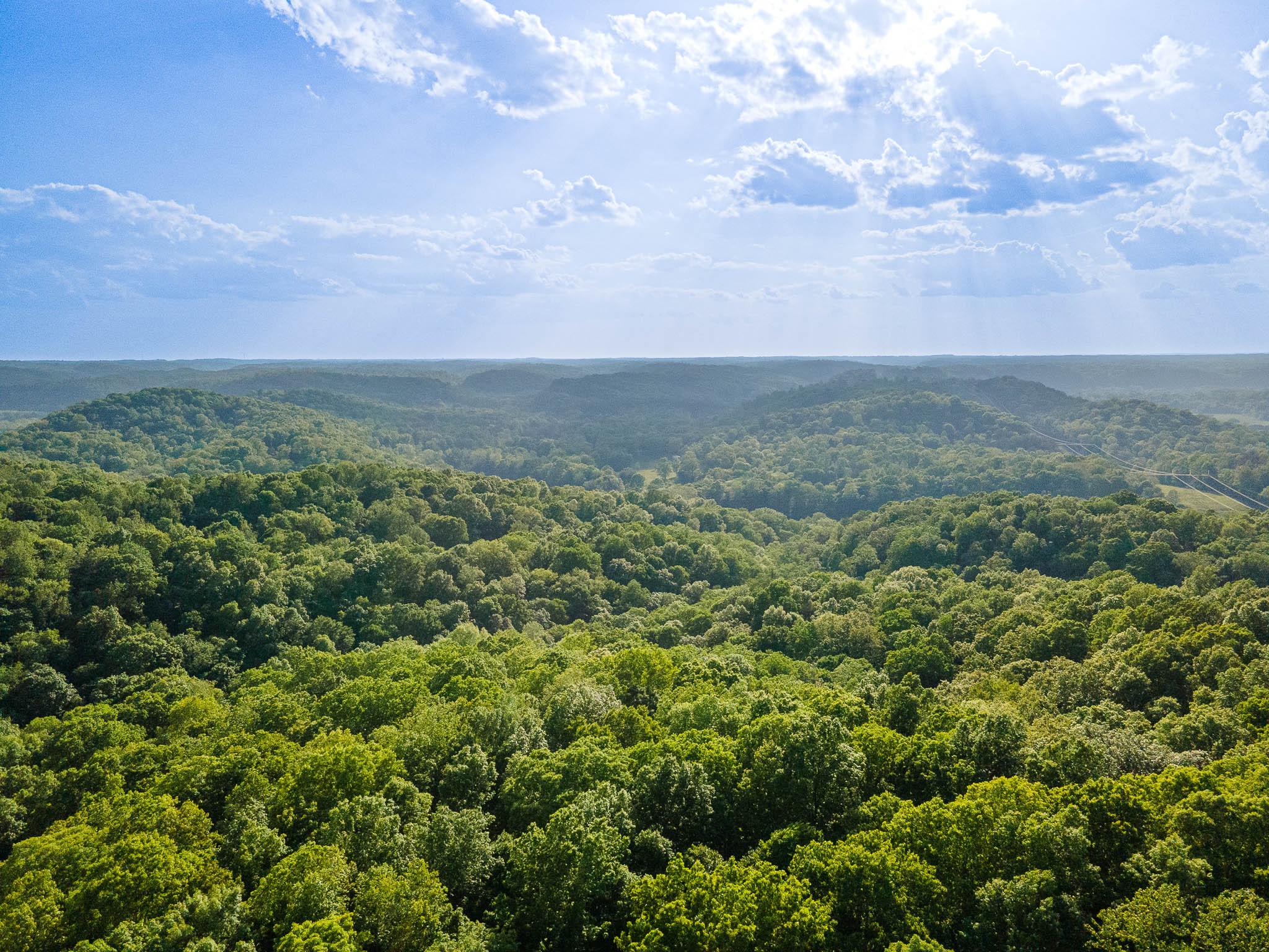 1070 Leatherwood Road White Bluff TN 37187
