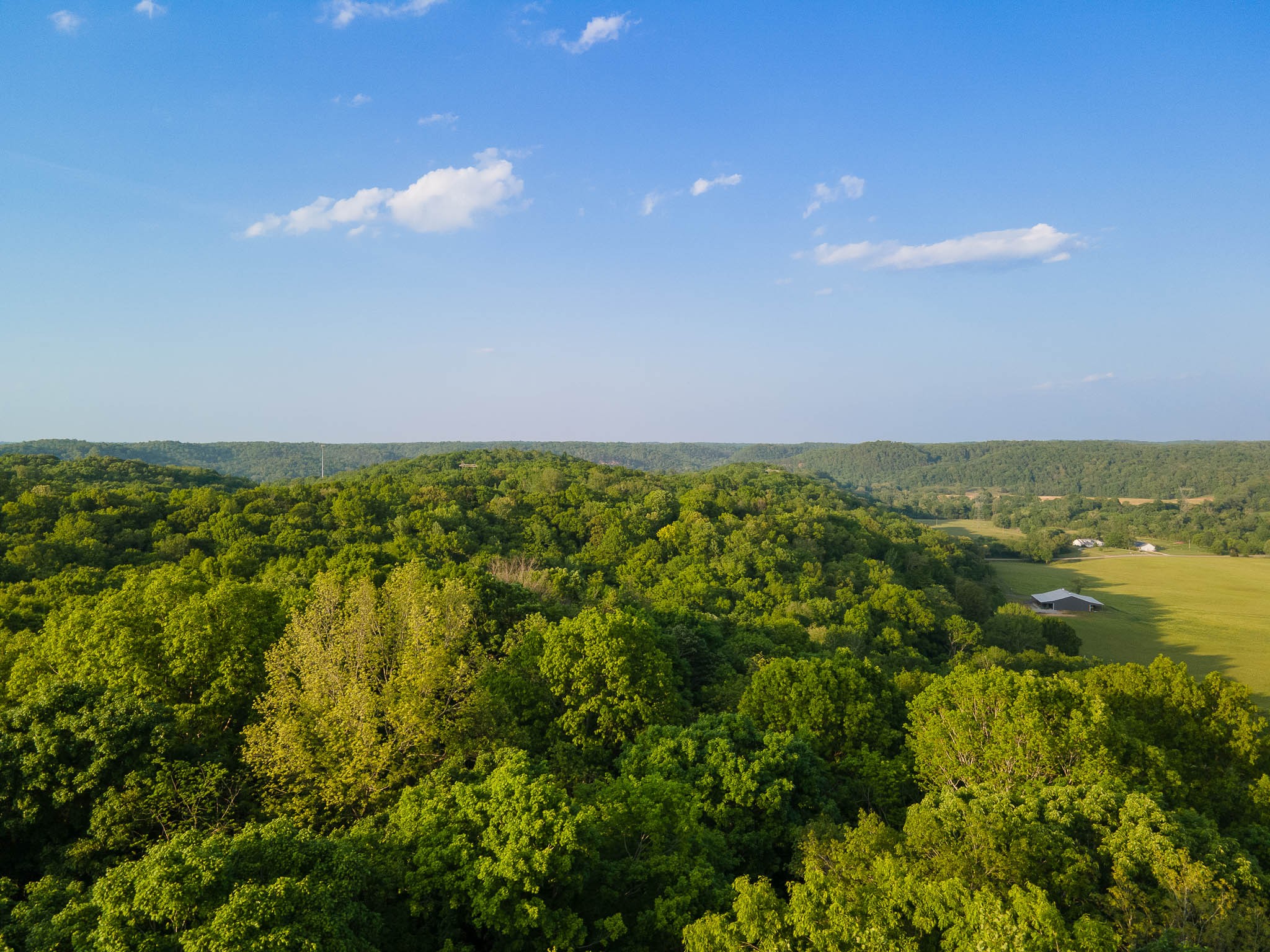 1070 Leatherwood Road White Bluff TN 37187