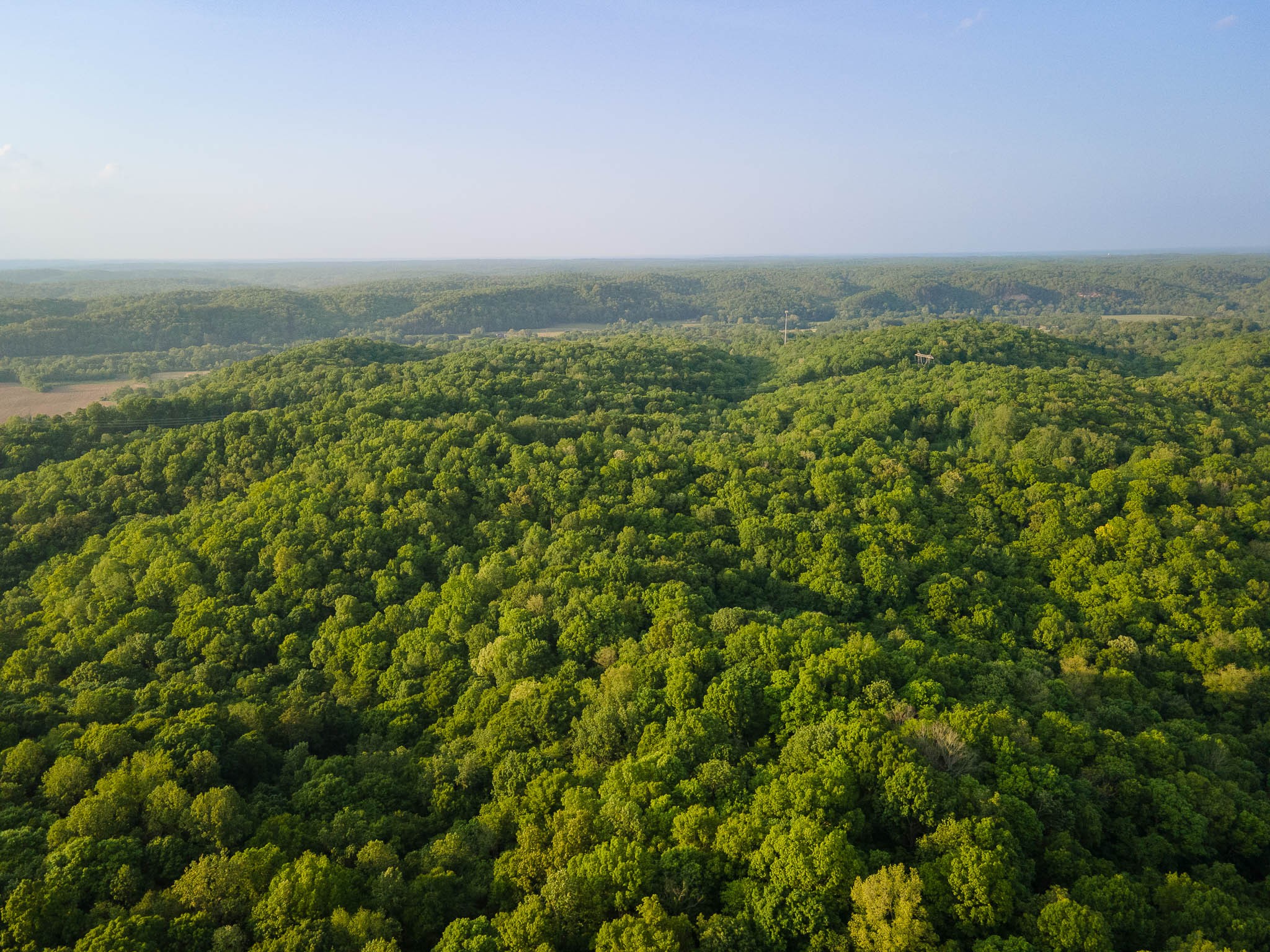 1070 Leatherwood Road White Bluff TN 37187