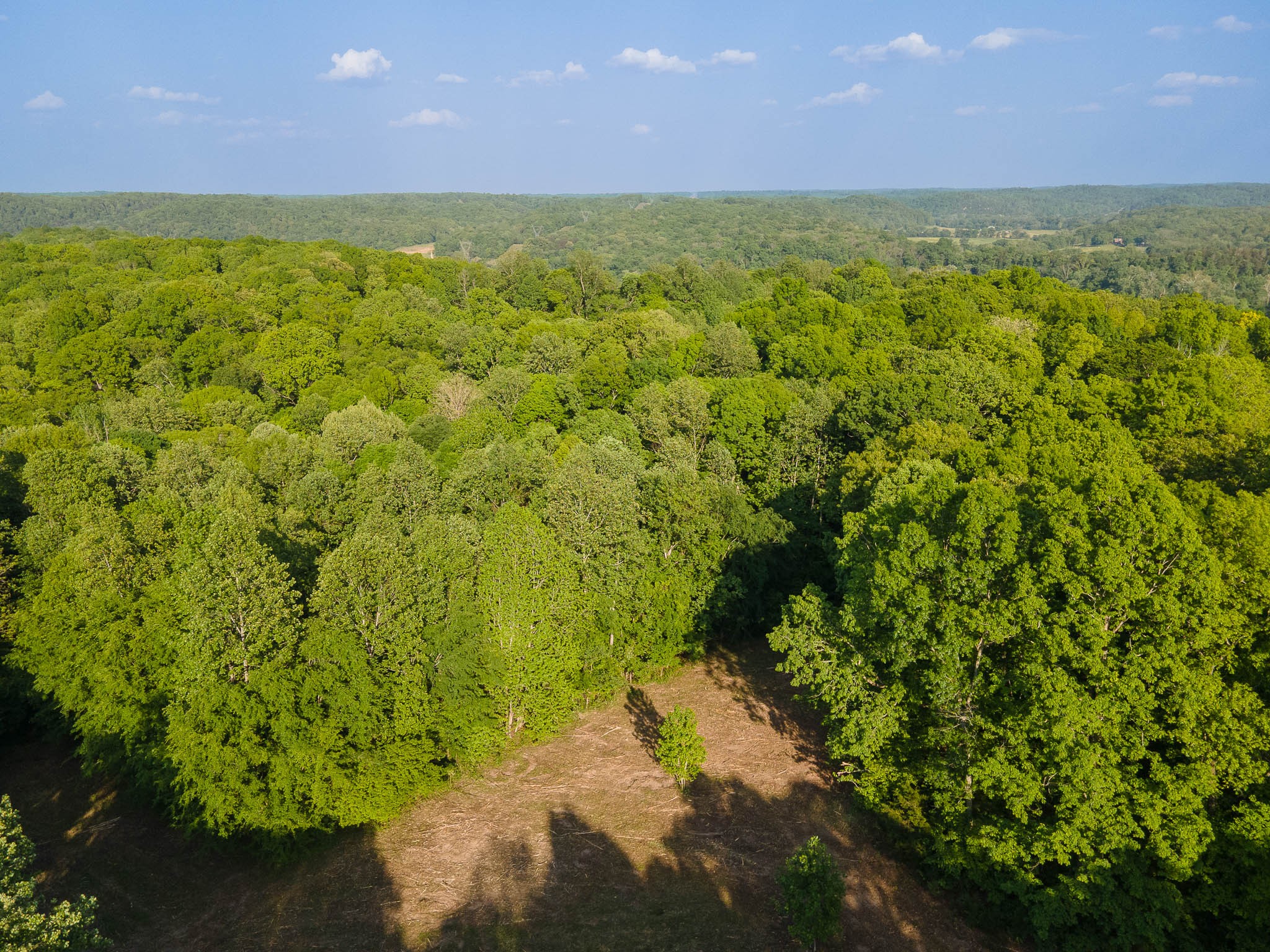 1070 Leatherwood Road White Bluff TN 37187