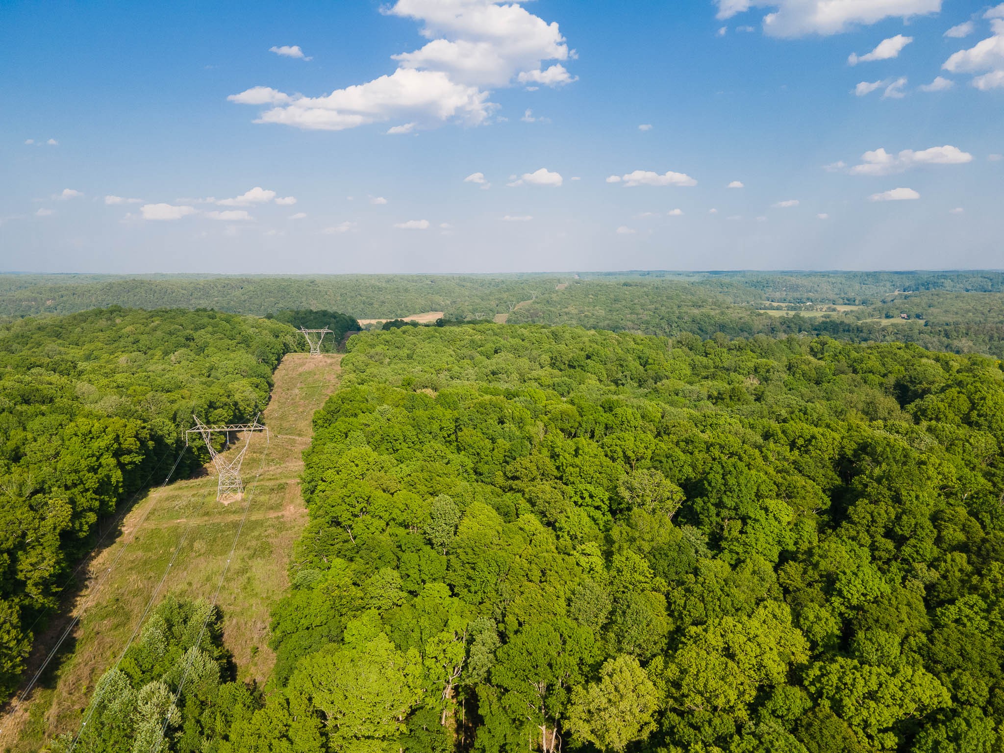 1070 Leatherwood Road White Bluff TN 37187