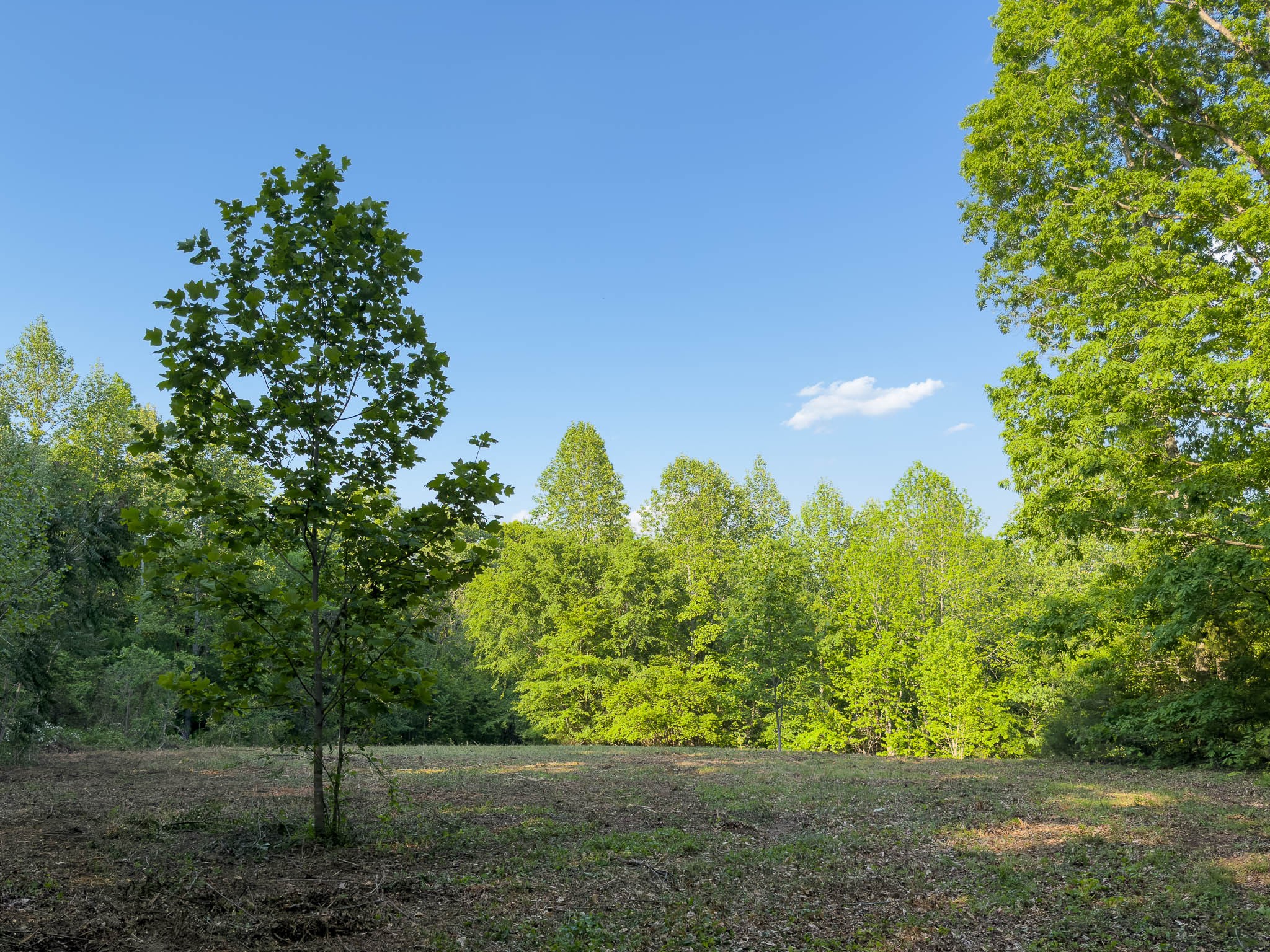 1070 Leatherwood Road White Bluff TN 37187