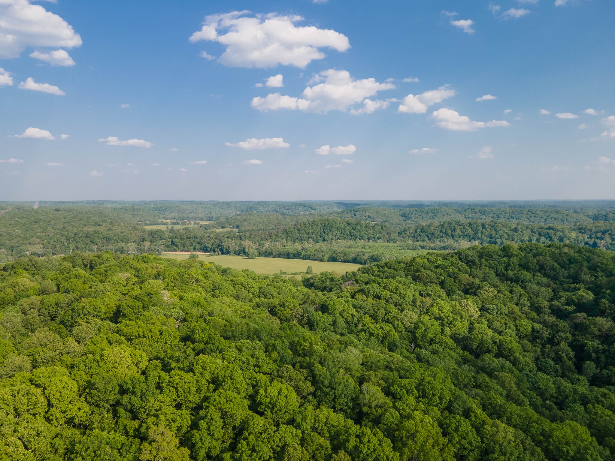 1070 Leatherwood Road White Bluff TN 37187
