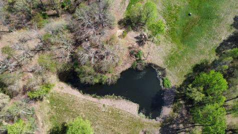 455 Morgan Ridge Road, N Coalmont TN 37313