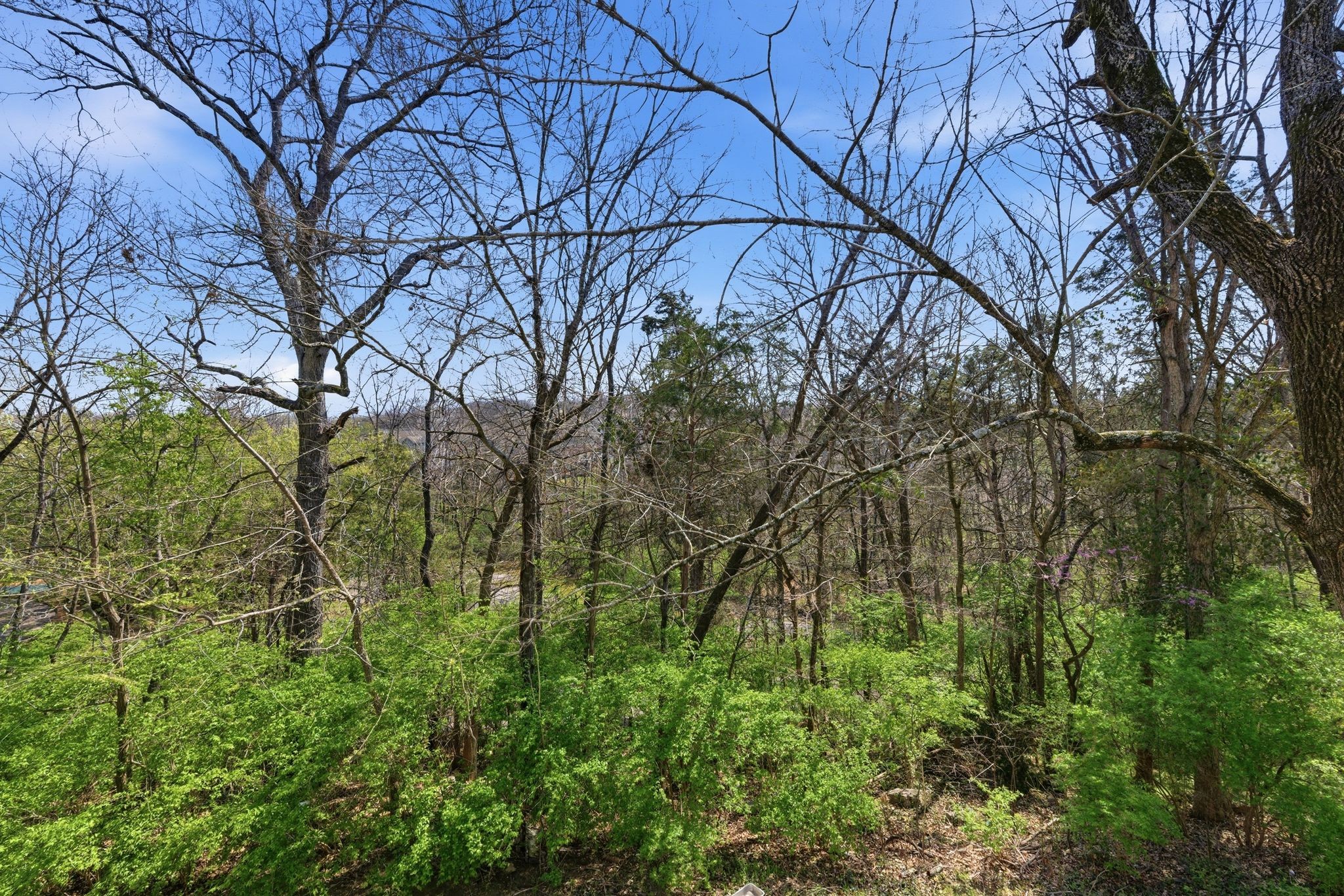 413 Oak Forge Drive Antioch TN 37013
