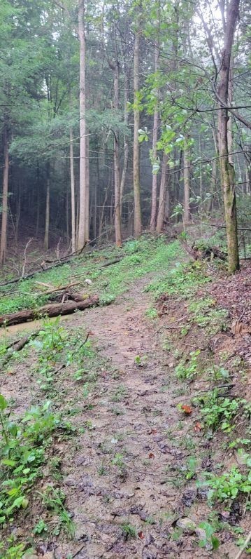 0 Prong Of Clear Fork Jamestown TN 38556