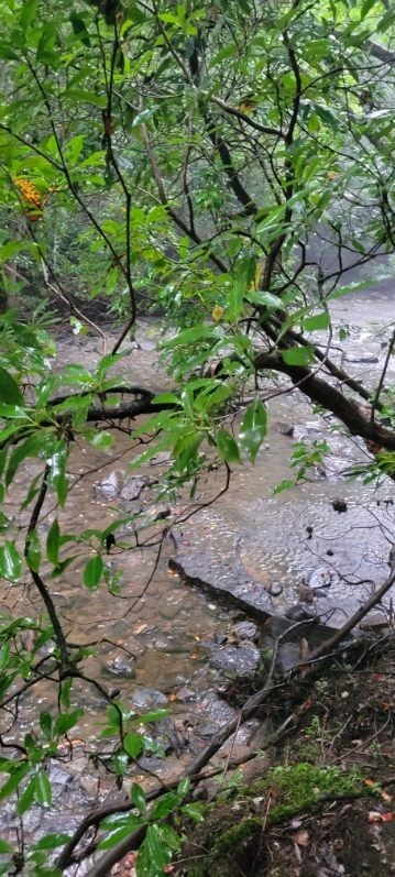 0 Prong Of Clear Fork Jamestown TN 38556