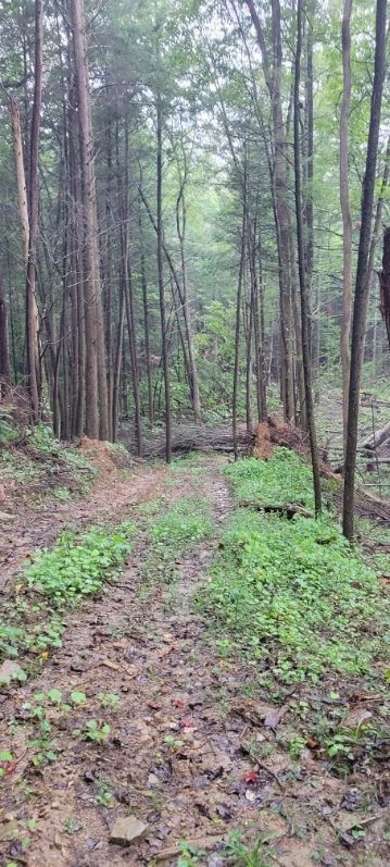 0 Prong Of Clear Fork Jamestown TN 38556