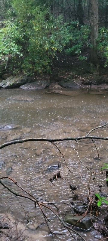 0 Prong Of Clear Fork Jamestown TN 38556