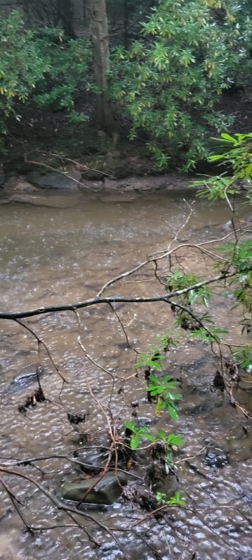 0 Prong Of Clear Fork Jamestown TN 38556