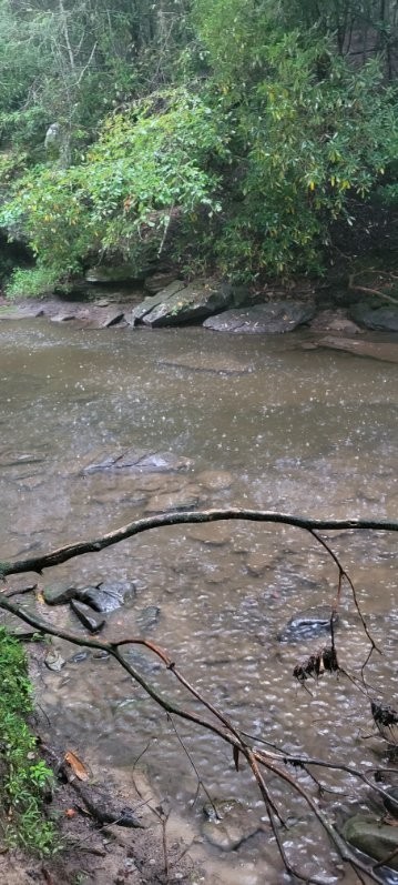 0 Prong Of Clear Fork Jamestown TN 38556