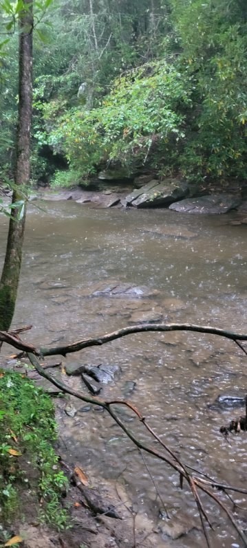 0 Prong Of Clear Fork Jamestown TN 38556