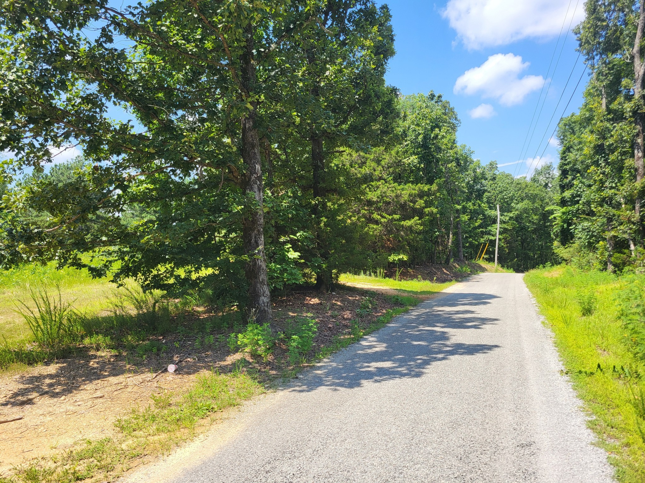 0 Strawberry Gables Holladay TN 38341