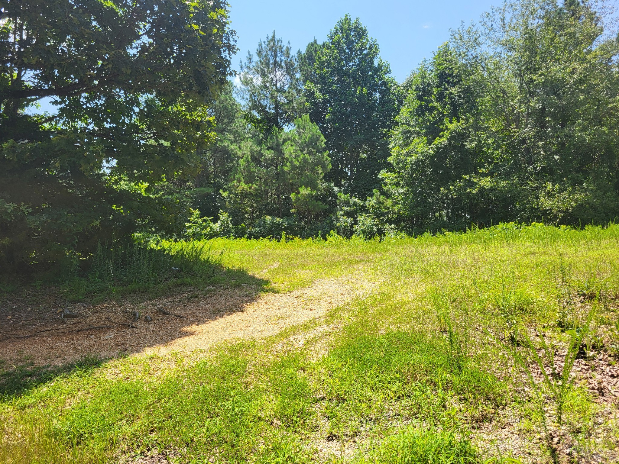 0 Strawberry Gables Holladay TN 38341