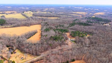 0 Tbd Davis Hollow Road Minor Hill TN 38473