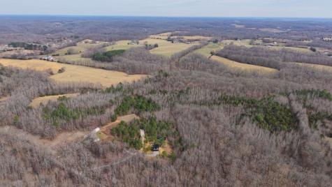 0 Tbd Davis Hollow Road Minor Hill TN 38473