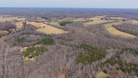 0 Tbd Davis Hollow Road Minor Hill TN 38473