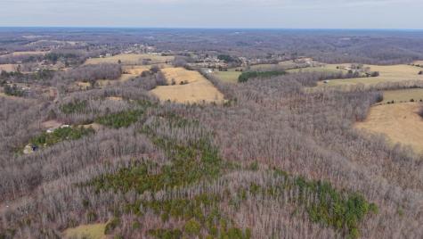0 Tbd Davis Hollow Road Minor Hill TN 38473