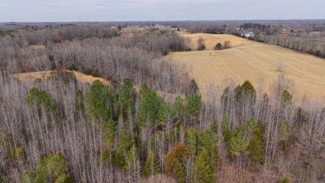 0 Tbd Davis Hollow Road Minor Hill TN 38473